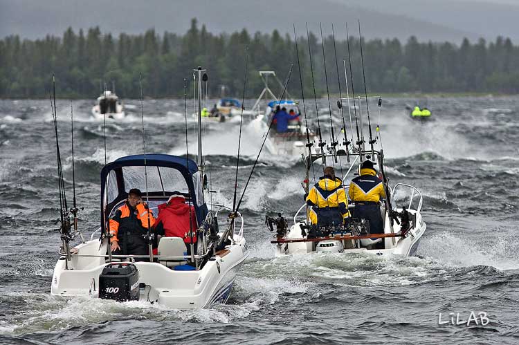 Vi har ett fantastiskt fiske i 3 älvar och 8 727 sjöar. Här finns Sveriges djupaste sjö Hornavan, som är 226 meter djup och 70 km lång, med 400 öar.