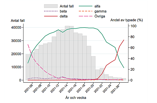 Antalet fall av olika covid-19-varianter i Sverige. Deltavarianten tar över.